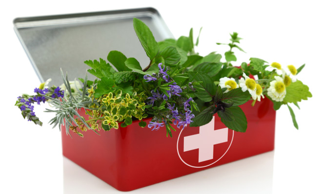 http://www.iatropedia.gr/wp-content/uploads/2015/07/herbal-first-aid-kit-666x399.jpg