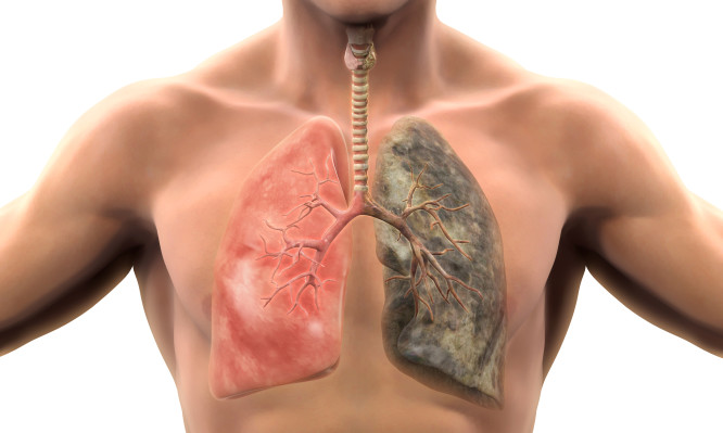 Σε πόσο καιρό θα καθαρίσουν οι πνεύμονες, αν κόψετε σήμερα το κάπνισμα;