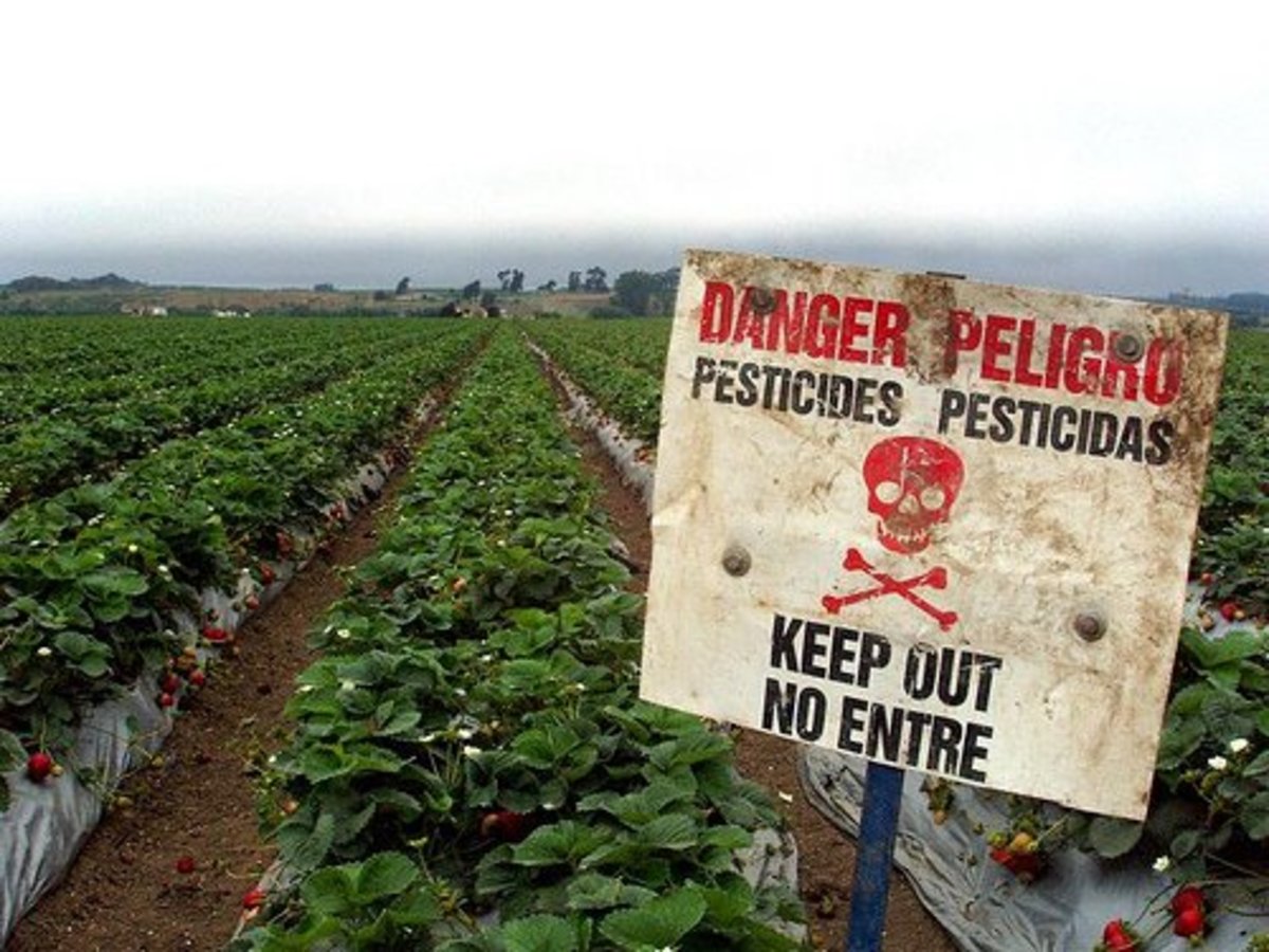 Пестициды приводят к. Пестициды. Опасность пестицидов. Пестициды опасно. Негативные последствия применения пестицидов в сельском хозяйстве:.