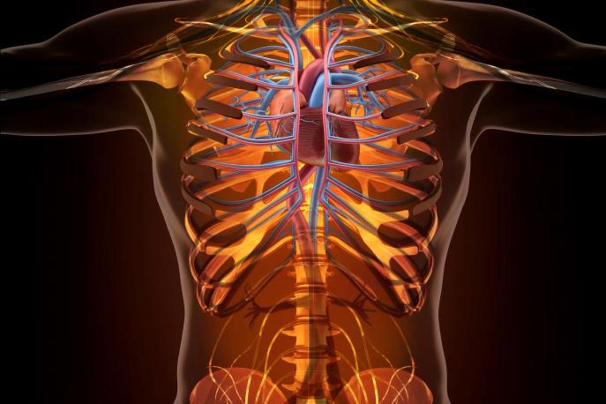 7 Important Facts About Is Cancer Hereditary and How to Prevent It If It Runs in Your Family