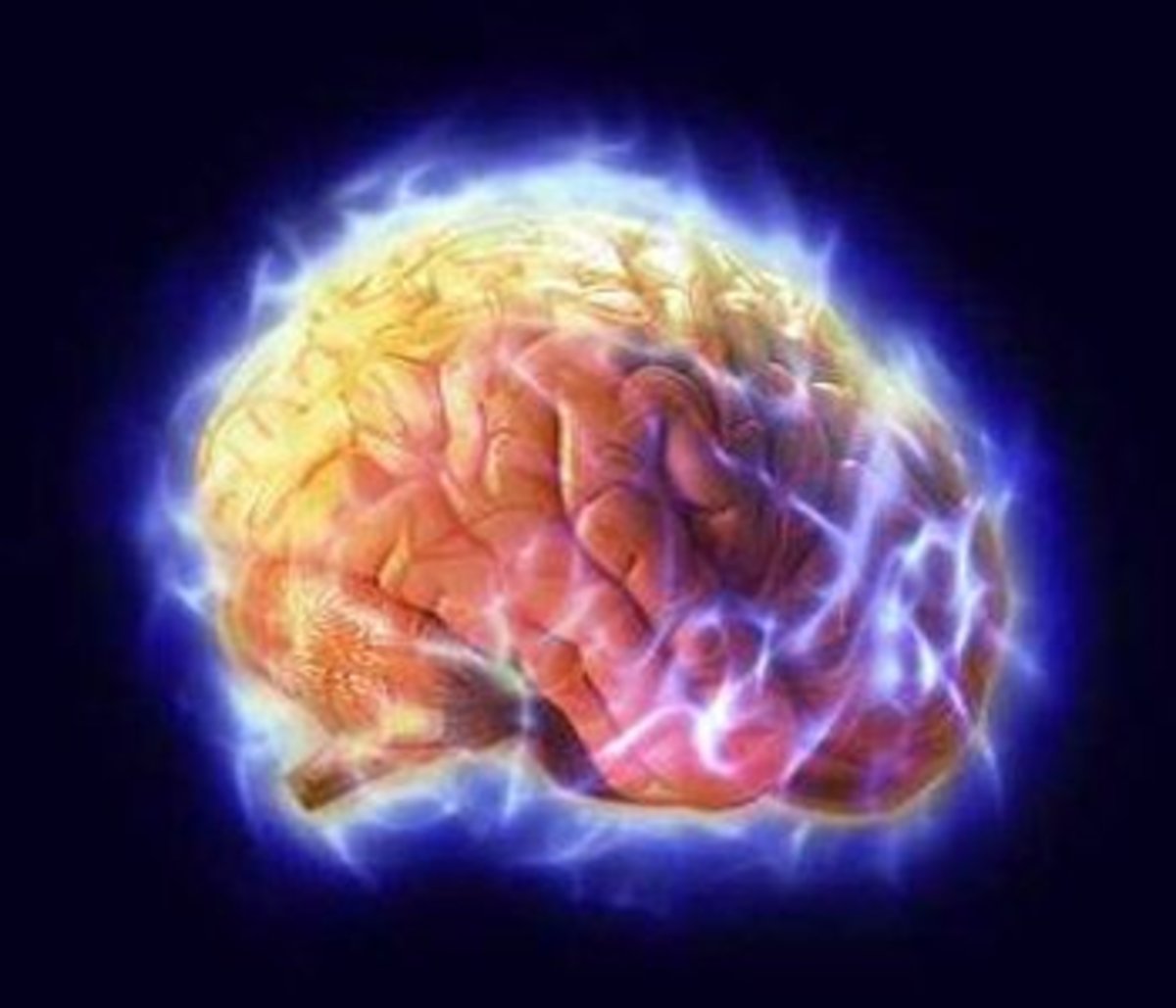 Мозг и интернет. Охлаждение мозга человека. Обновление мозга. Влияние псилобицин на мозг исследование. Мозг обновляется.