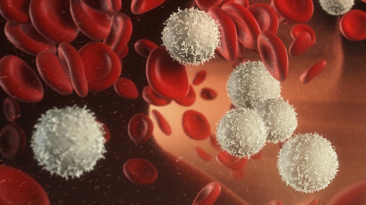 ανεβασμένα λευκά αιμοσφαίρια