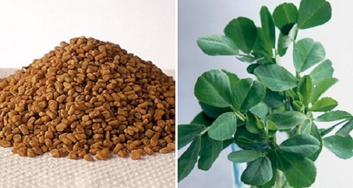 τριγωνέλλα