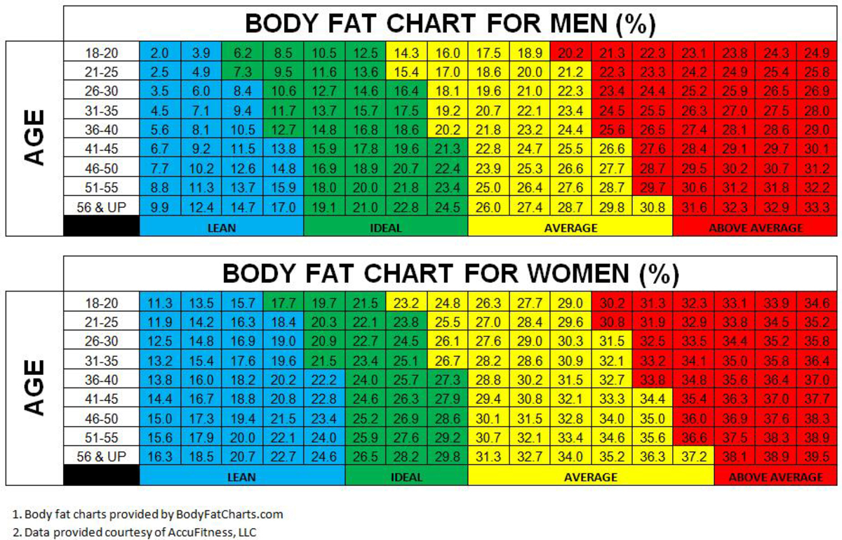 Ποσοστό λίπους σώματος: Υπολογισμός - Τι σημαίνει το αποτέλεσμά σας