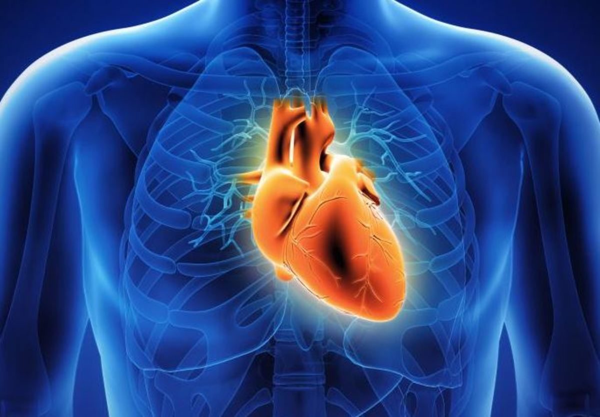 βραδυκαρδία