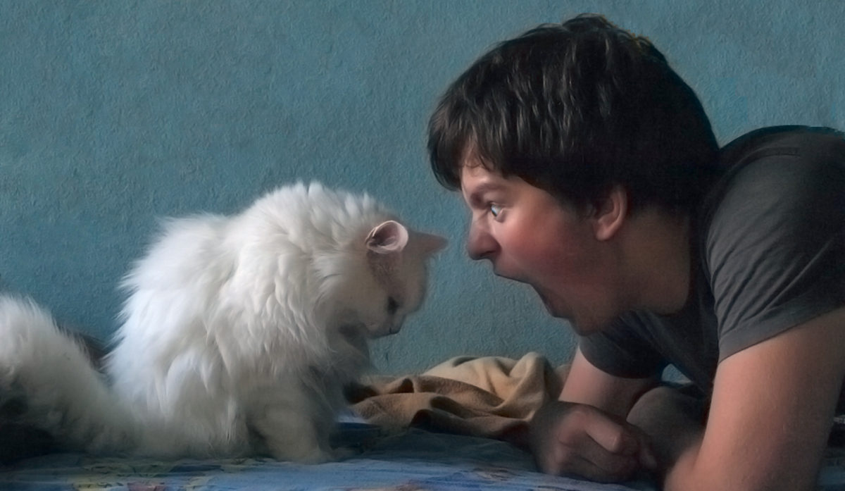 τοξόπλασμα