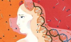 μεταμοσχεύσεις