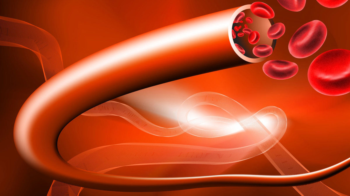 αιμοφόρα αγγεία