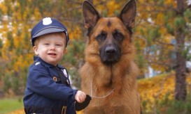 κατοικίδια