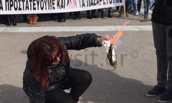 ειδική αγωγή