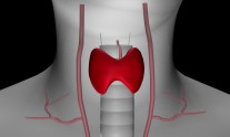 διαταραχές θυρεοειδούς