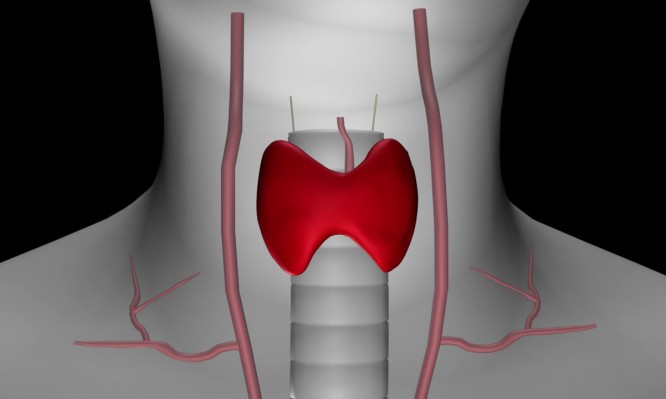 διαταραχές θυρεοειδούς