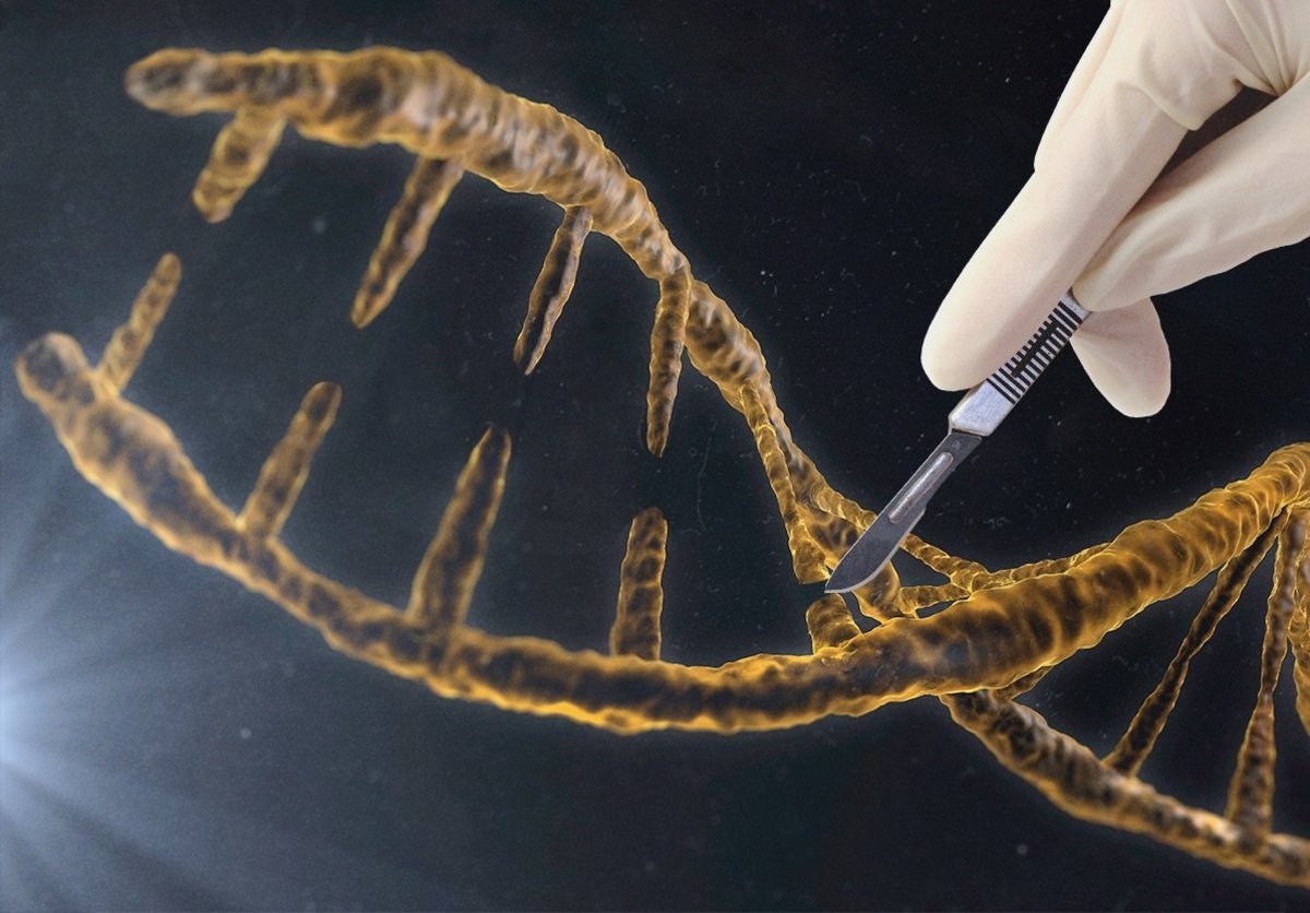 Пересадка днк. ДНК человека. Генная инженерия эмбрион. Исследование генома человека. Генная терапия животных.