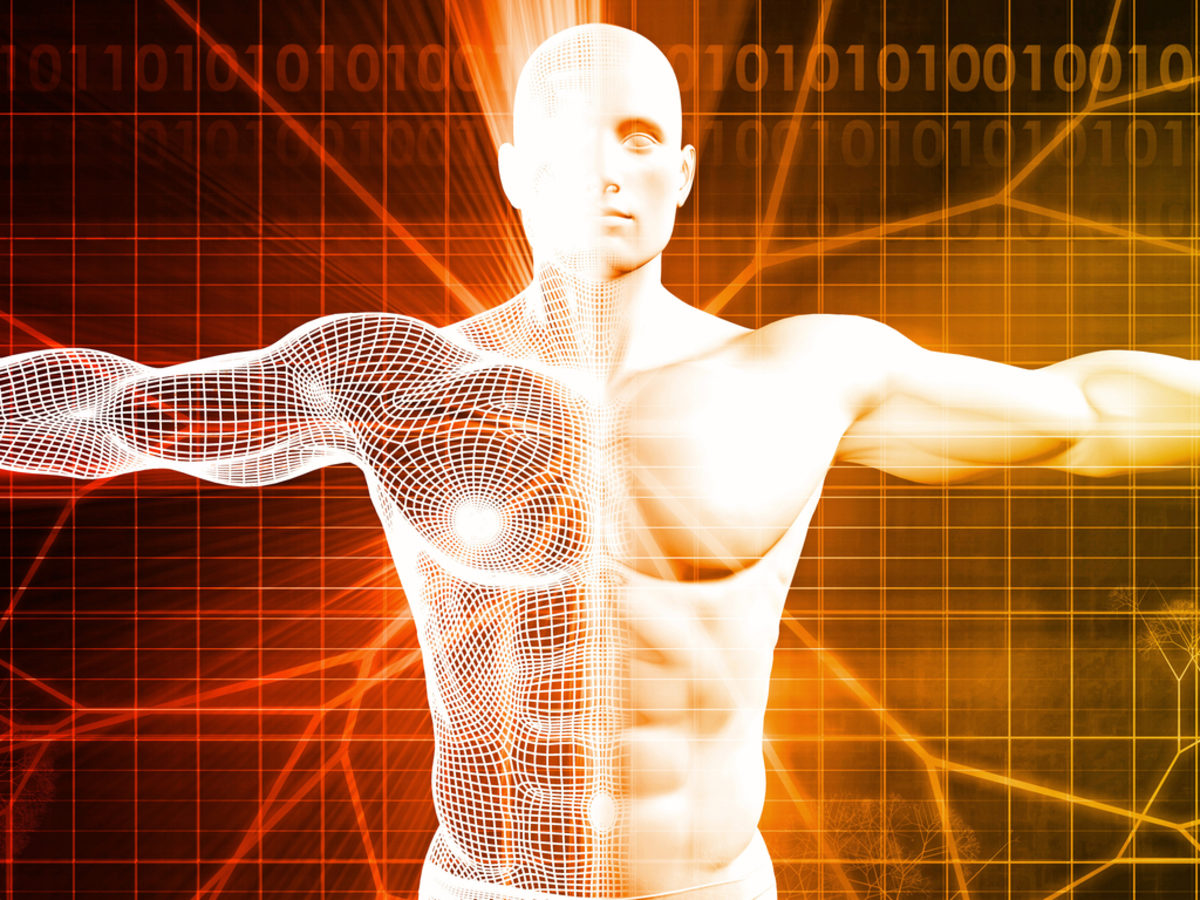 ανθρώπινο σώμα