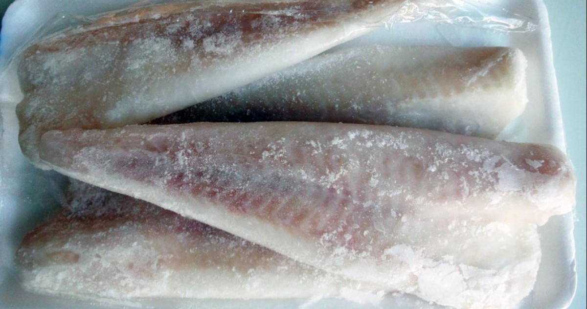 Сон замороженная рыба к чему снится. Размороженная рыба в белых точках. Замороженная рыба жесткий свет. Все белые рыбы замороженные. При заморозке рыбы слой льда как называется.