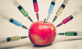 διατροφικά πειραματόζωα