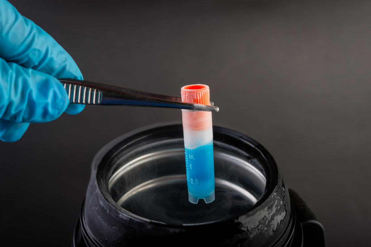 Παγκόσμια Ημέρα Γονιμότητας