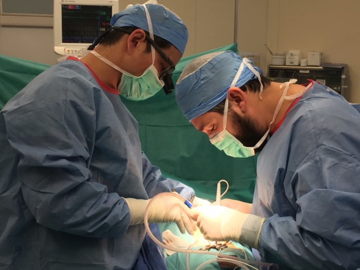 Σύνδρομο Οκαμότο Ζέρρης