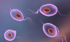 τριχομονάδες