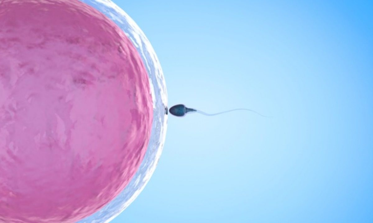 Εξωσωματική Γονιμοποίηση