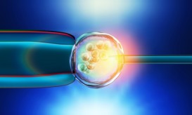 εξωσωματική γονιμοποίηση