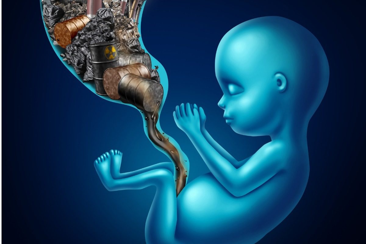 πλακούντας