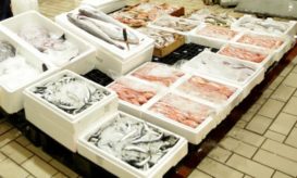 ιχθυόσκαλα