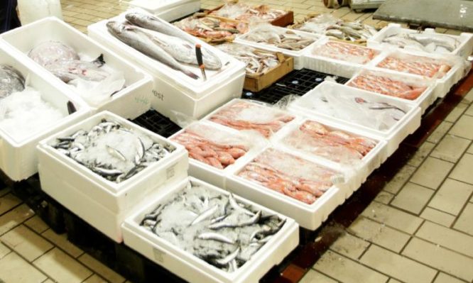 ιχθυόσκαλα