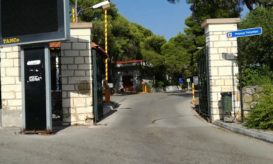 Αμαλία Φλέμινγκ