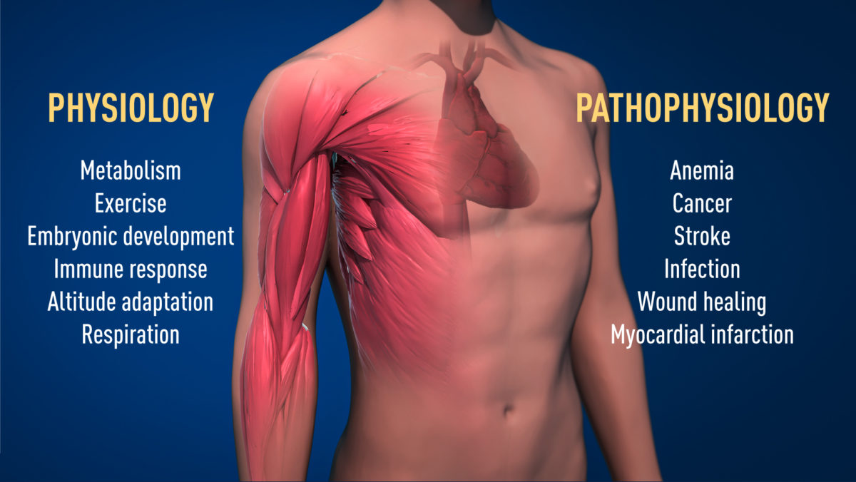 Νόμπελ Ιατρικής