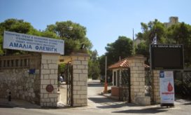 Αμαλία Φλέμιγκ