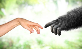 νευροψυχικές διαταραχές