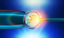 τεχνητή γονιμοποίηση