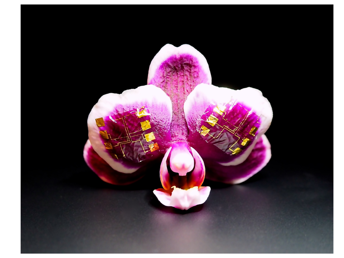 τρανζίστορ