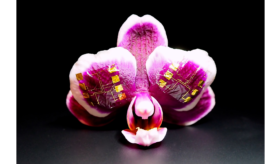 τρανζίστορ