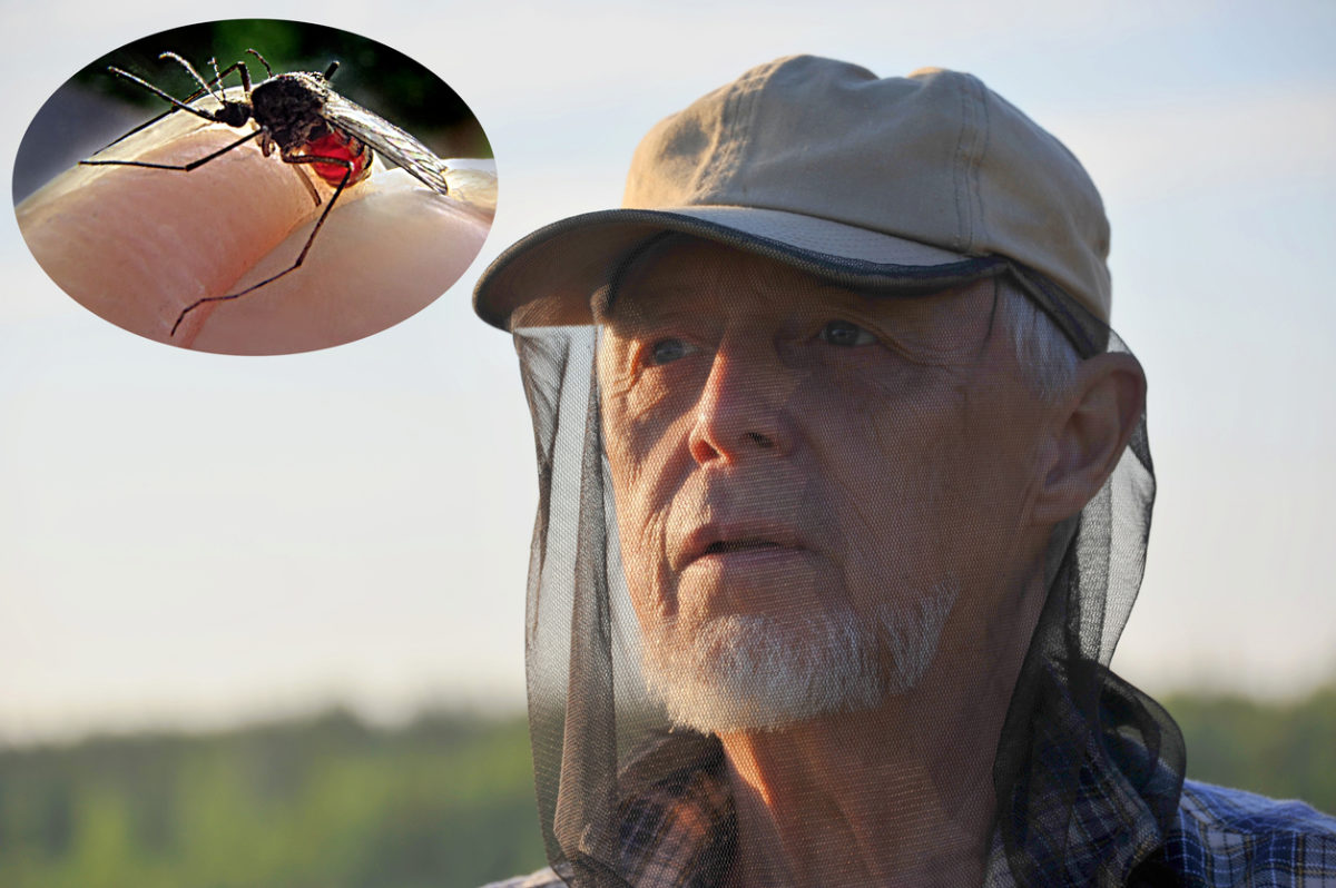 Ιός Δυτικού Νείλου