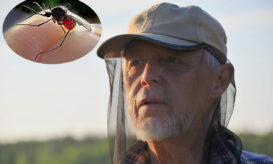 Ιός Δυτικού Νείλου