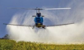 Δυτικού Νείλου