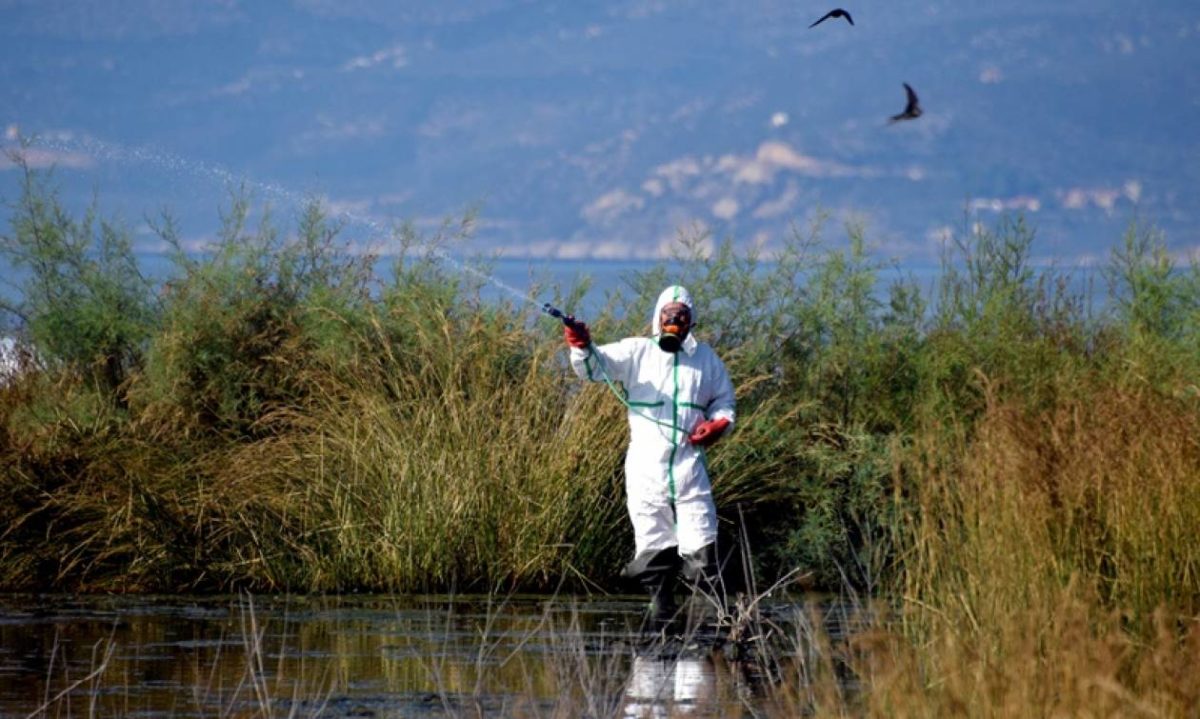 Δυτικού Νείλου