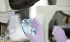 επιλογή φύλου