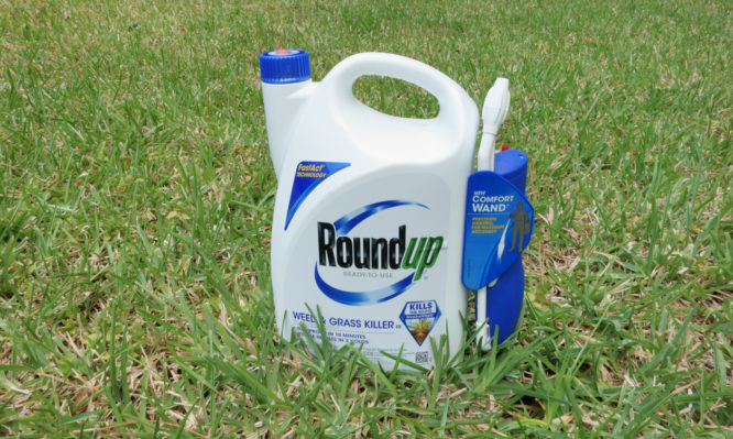 roundup