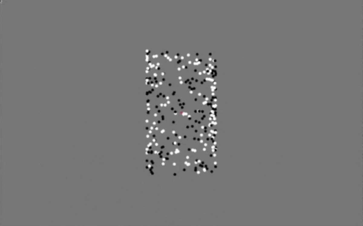 ψευδαίσθηση