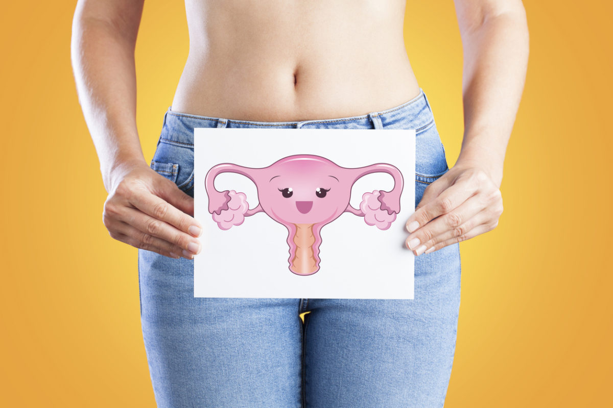 πολύποδες μήτρας