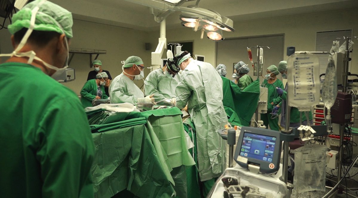 μεταμόσχευση