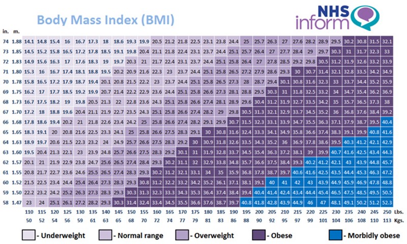 Индекс массы тела категории. BMI normal. Индекс массы тела калькулятор для женщин. Измерительная лента с индексом массы тела с циферблатом BMI. 24.9 BMI.