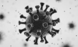κορονοϊός