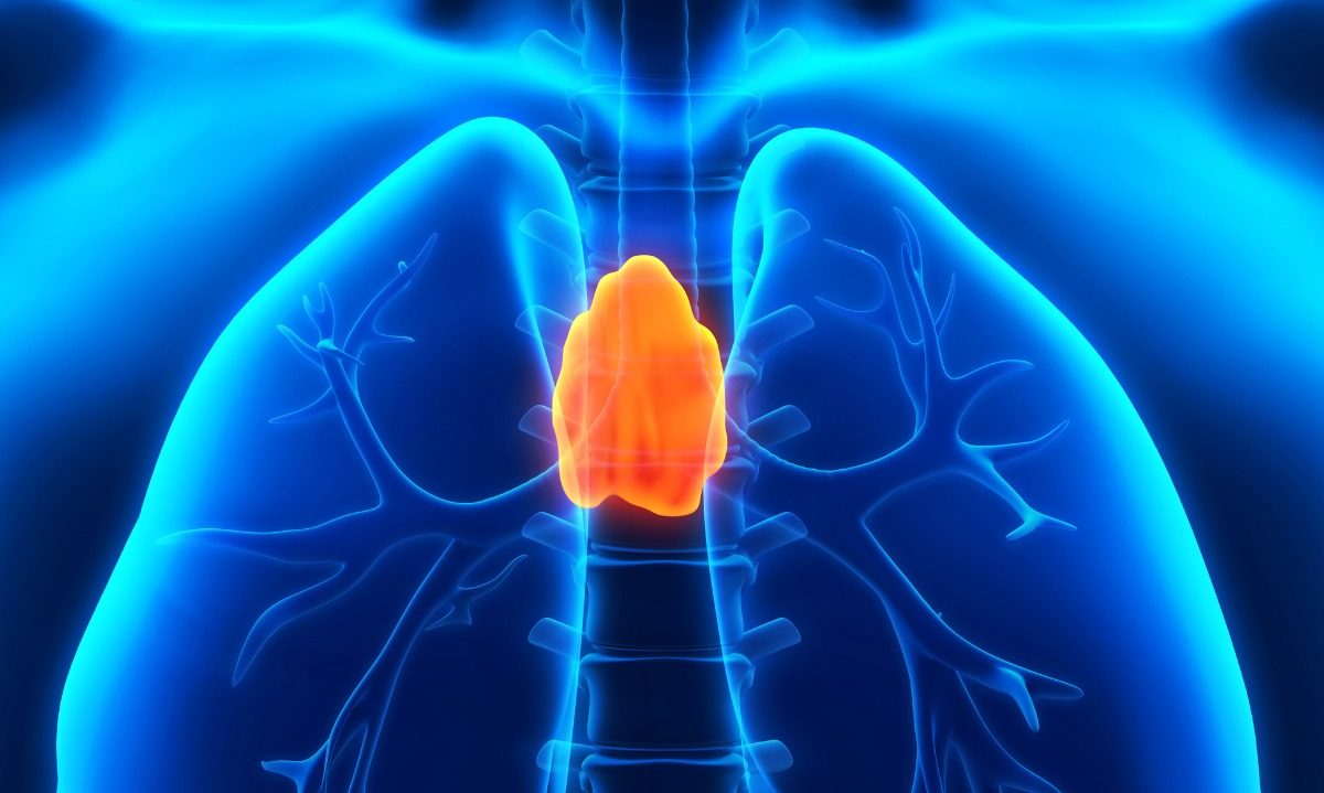 θύμος αδένας