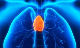 θύμος αδένας