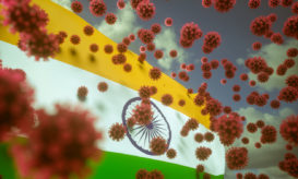 ινδική μετάλλαξη