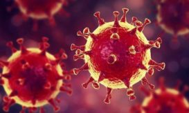 μονοκλωνικά